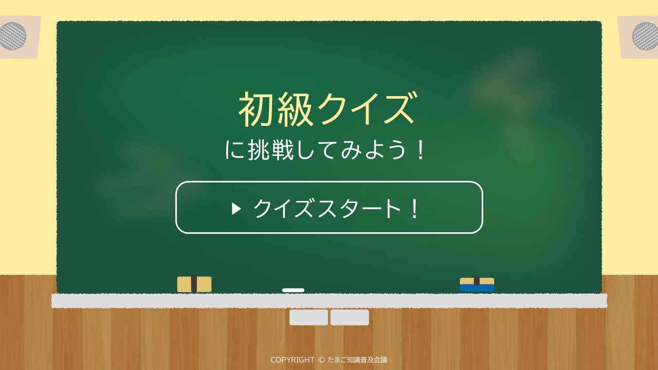初級クイズに挑戦してみよう！スタート