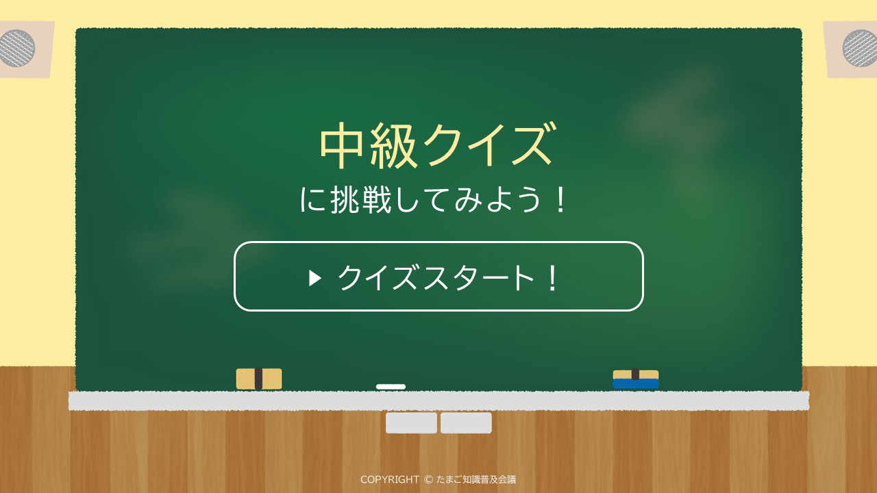 中級クイズに挑戦してみよう！スタート