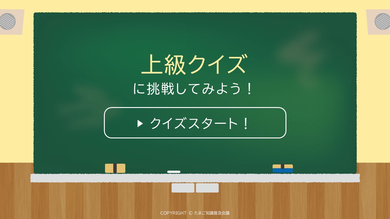 上級クイズに挑戦してみよう！スタート